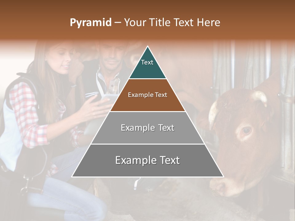 Cows Knelt Woman PowerPoint Template