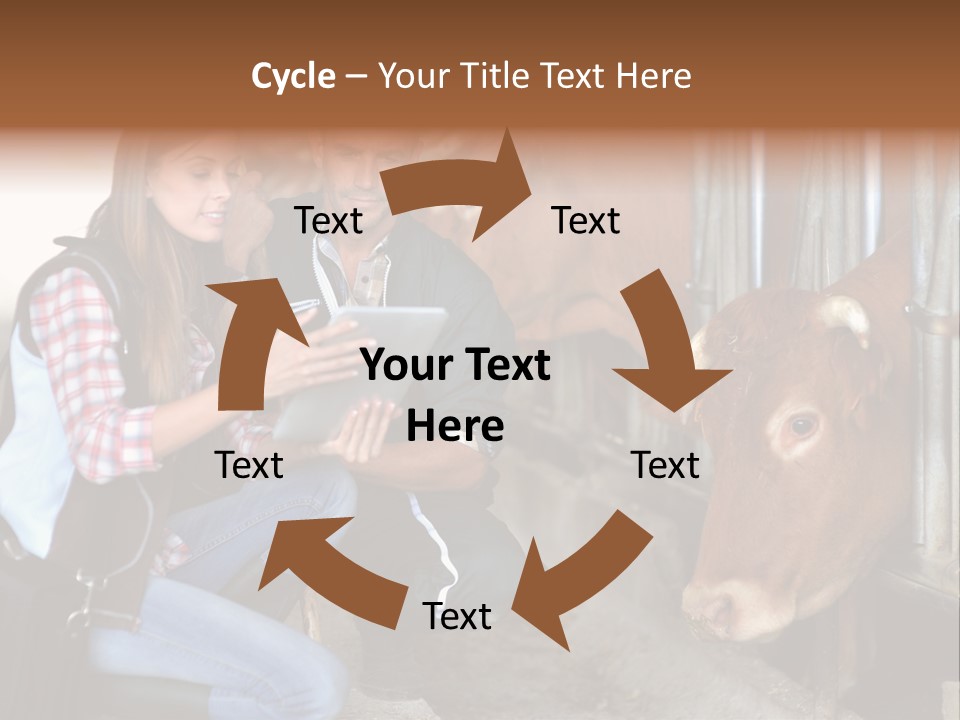 Cows Knelt Woman PowerPoint Template