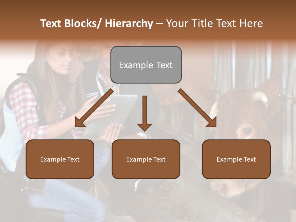 Cows Knelt Woman PowerPoint Template