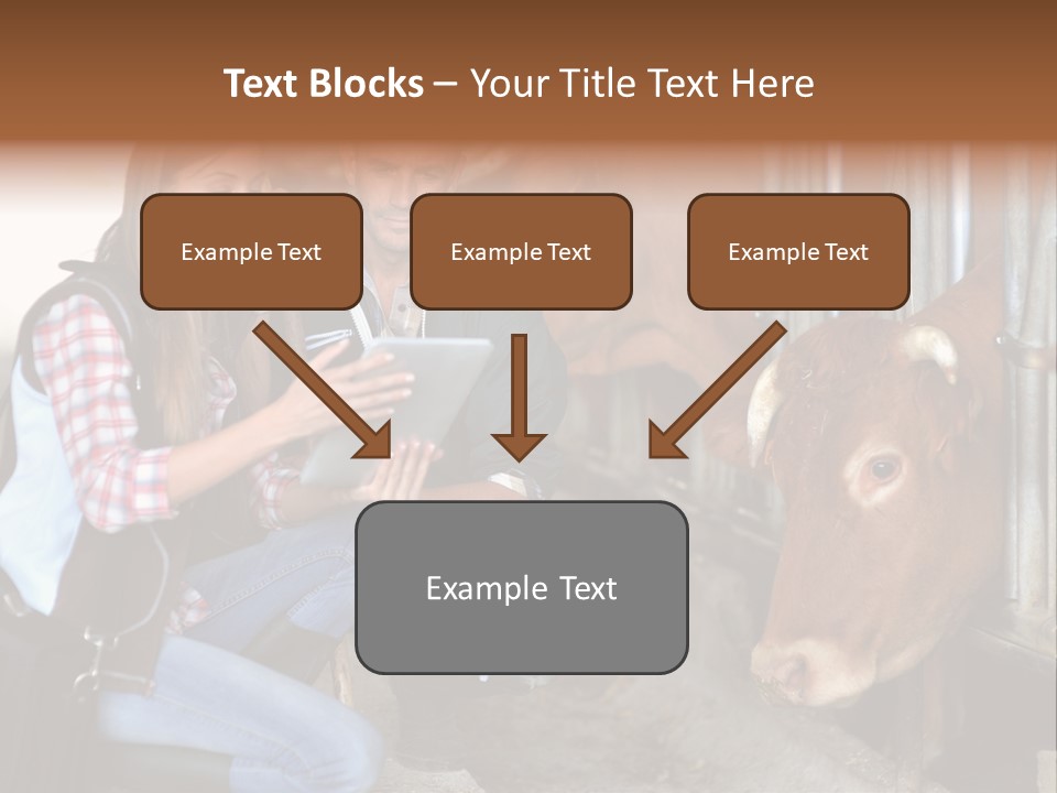 Cows Knelt Woman PowerPoint Template