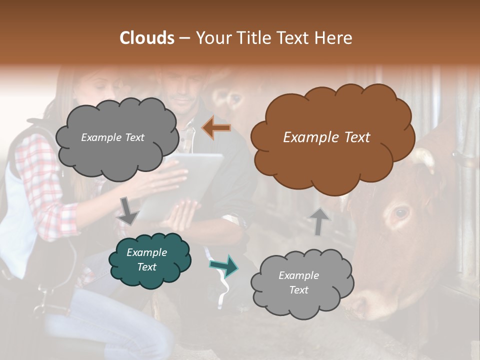 Cows Knelt Woman PowerPoint Template