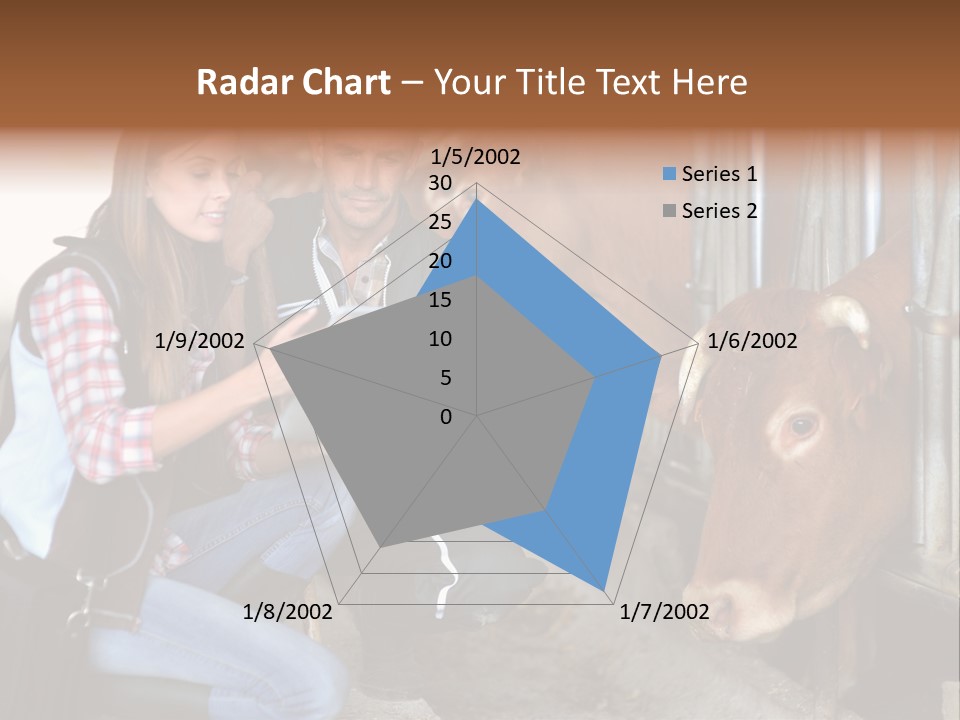 Cows Knelt Woman PowerPoint Template