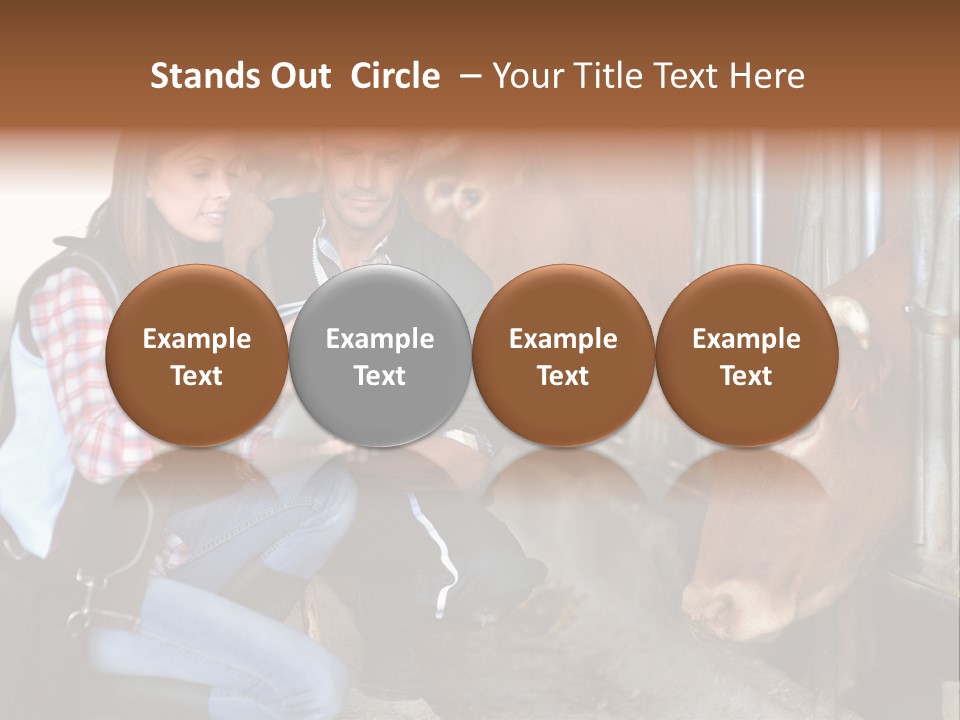 Cows Knelt Woman PowerPoint Template