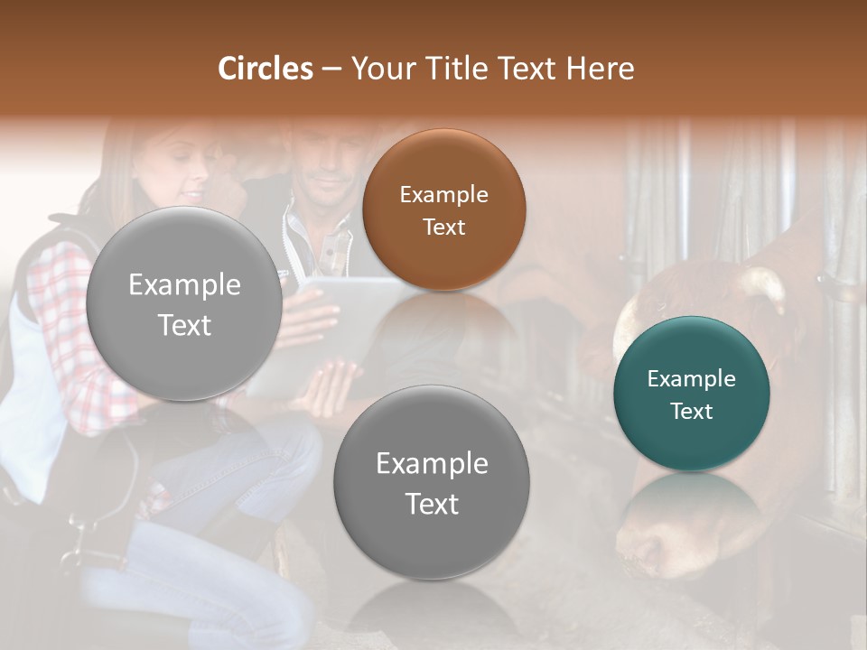 Cows Knelt Woman PowerPoint Template