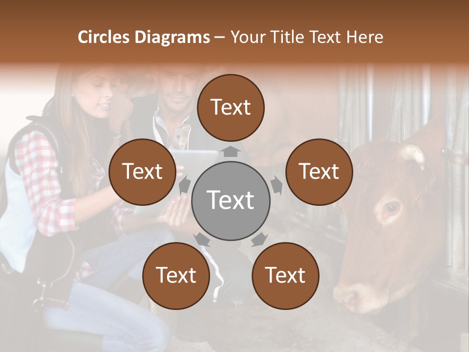 Cows Knelt Woman PowerPoint Template