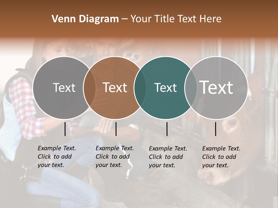 Cows Knelt Woman PowerPoint Template