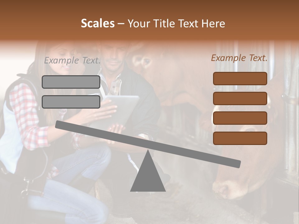 Cows Knelt Woman PowerPoint Template