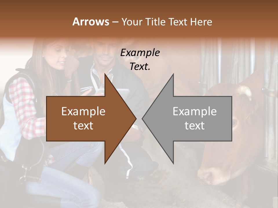 Cows Knelt Woman PowerPoint Template