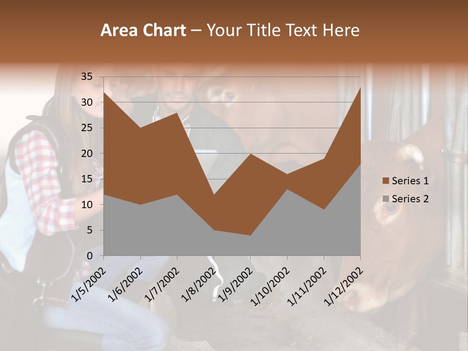Cows Knelt Woman PowerPoint Template