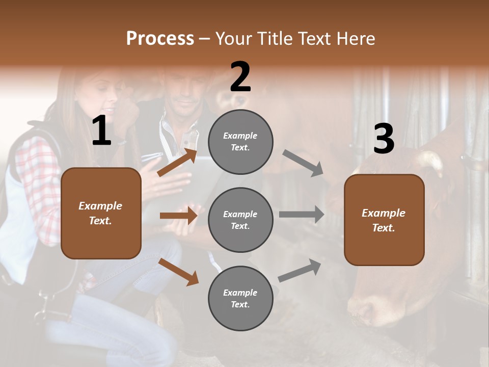 Cows Knelt Woman PowerPoint Template