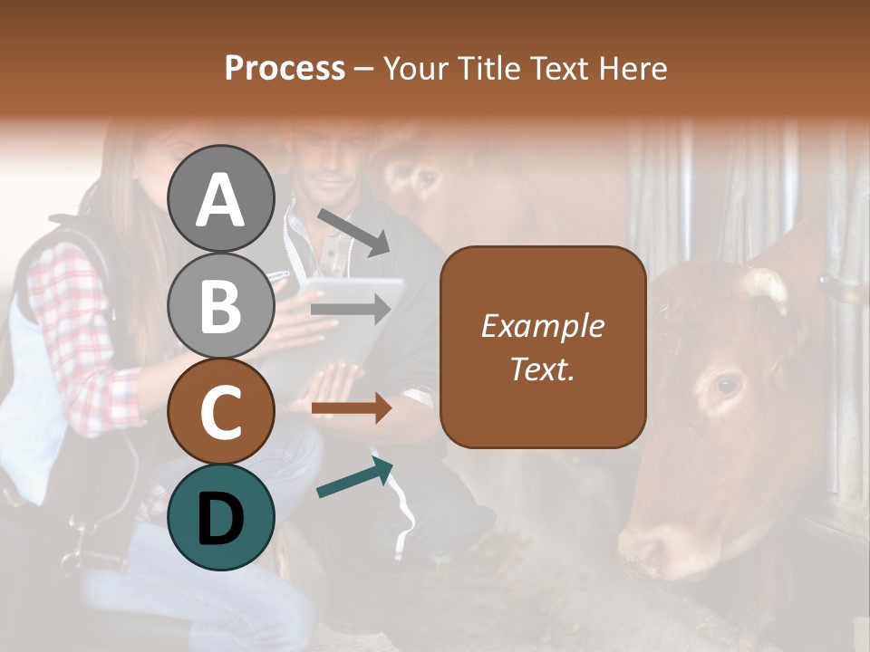 Cows Knelt Woman PowerPoint Template