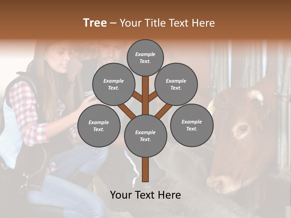 Cows Knelt Woman PowerPoint Template
