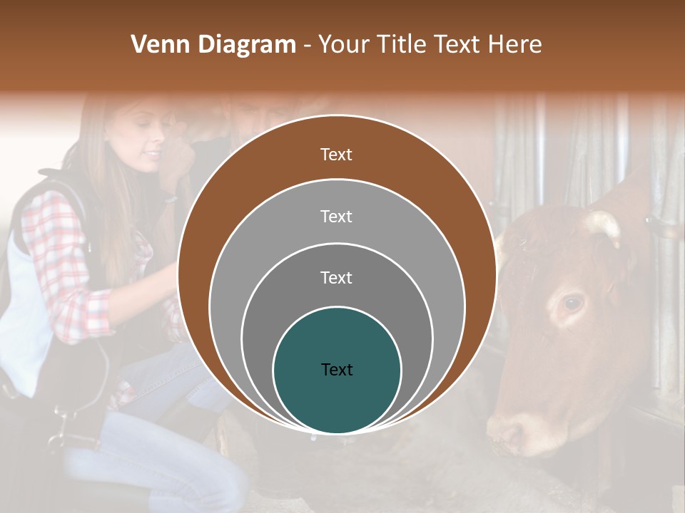 Cows Knelt Woman PowerPoint Template