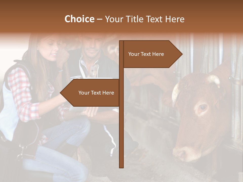 Cows Knelt Woman PowerPoint Template