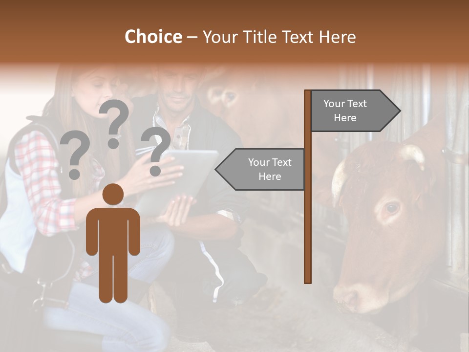 Cows Knelt Woman PowerPoint Template