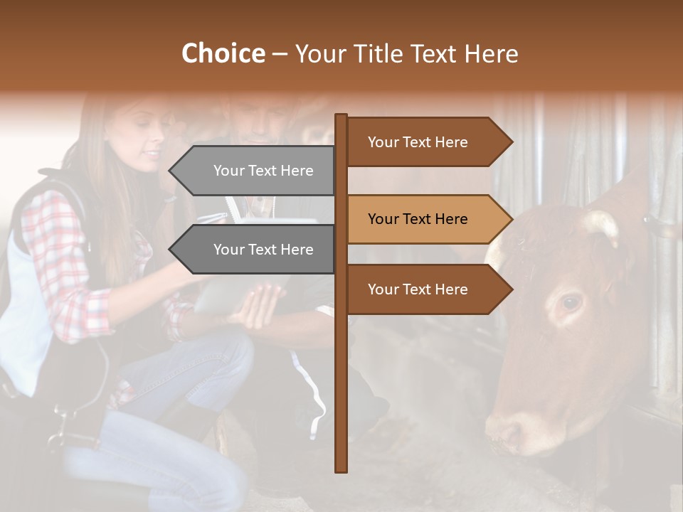 Cows Knelt Woman PowerPoint Template