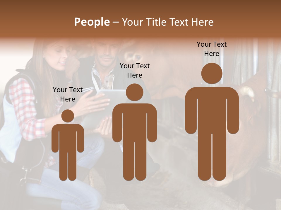 Cows Knelt Woman PowerPoint Template