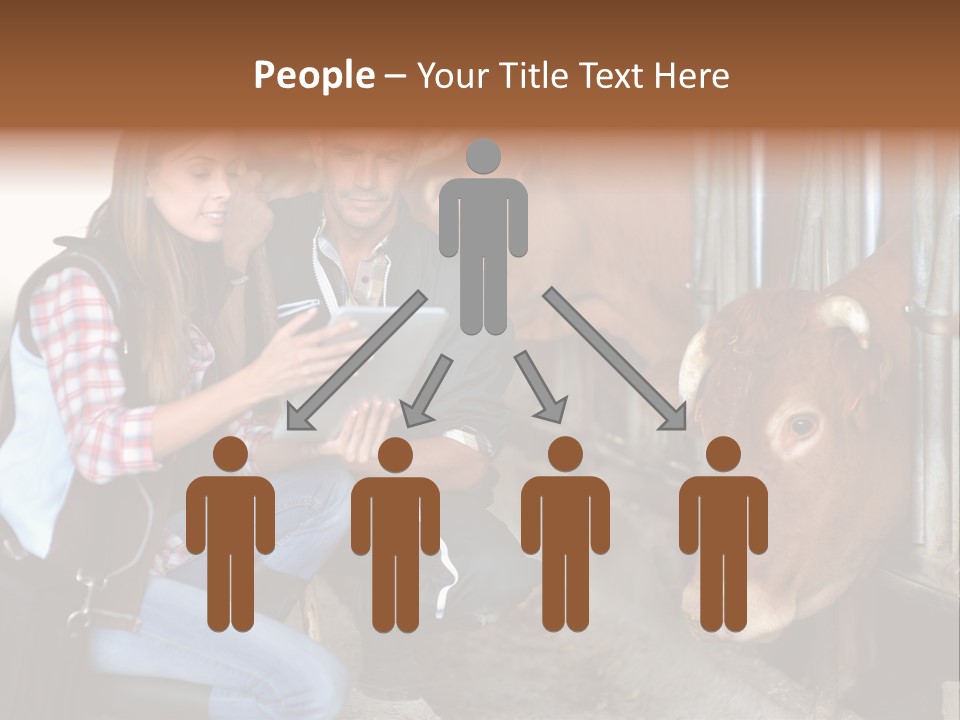 Cows Knelt Woman PowerPoint Template