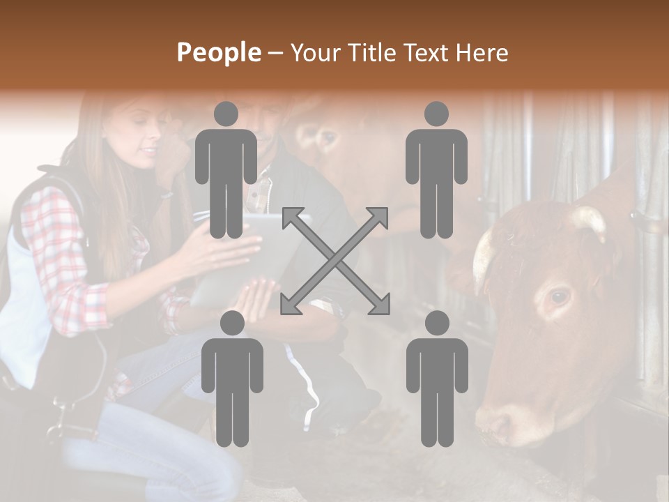 Cows Knelt Woman PowerPoint Template