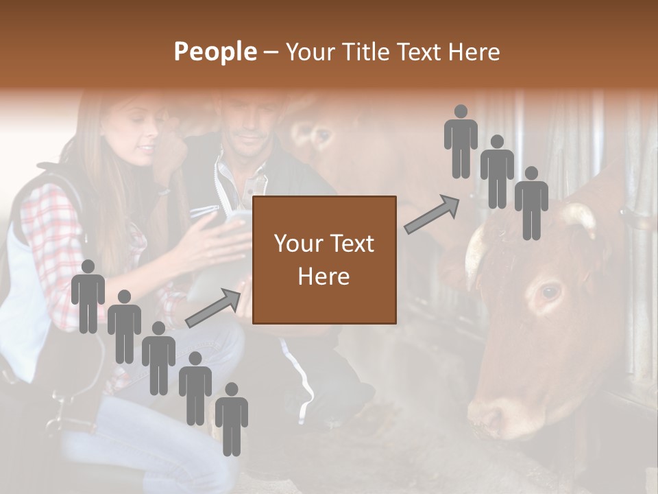 Cows Knelt Woman PowerPoint Template