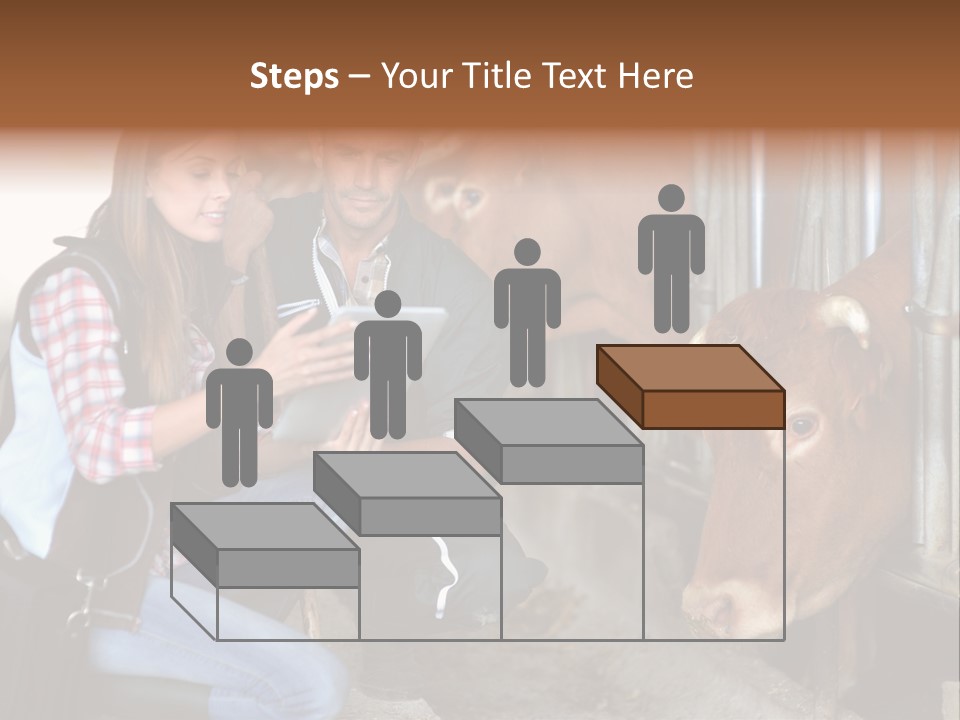 Cows Knelt Woman PowerPoint Template