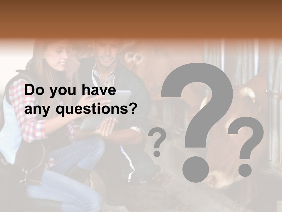 Cows Knelt Woman PowerPoint Template