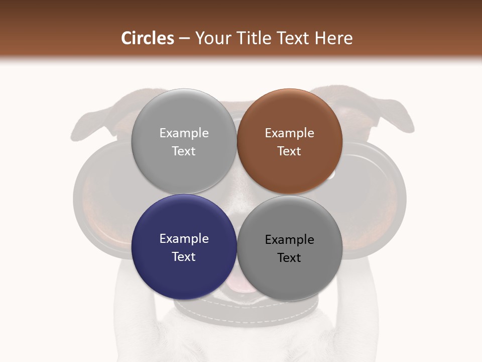 Binocular Joke Terrier PowerPoint Template