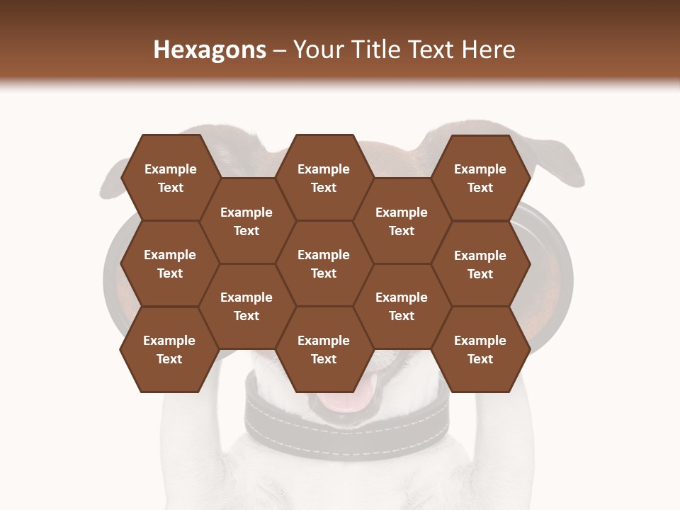 Binocular Joke Terrier PowerPoint Template