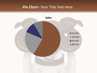 Binocular Joke Terrier PowerPoint Template