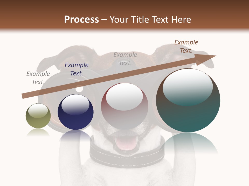 Binocular Joke Terrier PowerPoint Template