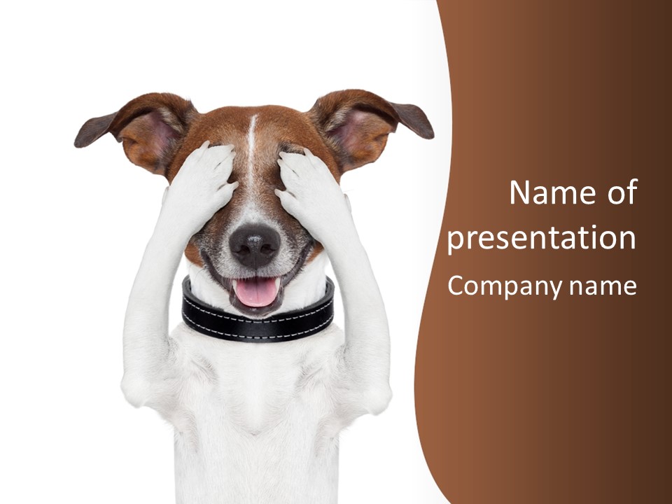 Pet Face Close PowerPoint Template