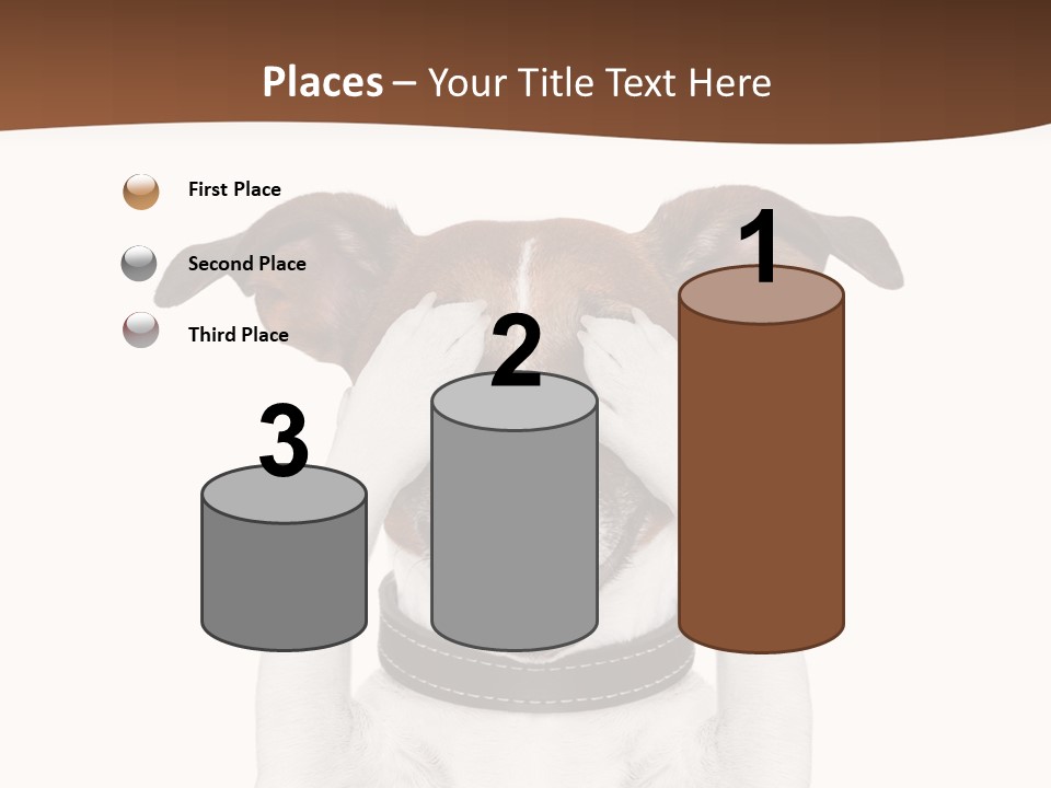 Pet Face Close PowerPoint Template