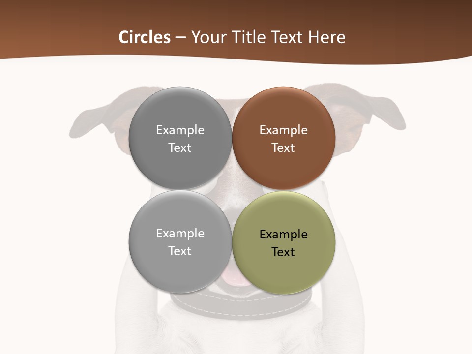 Pet Face Close PowerPoint Template