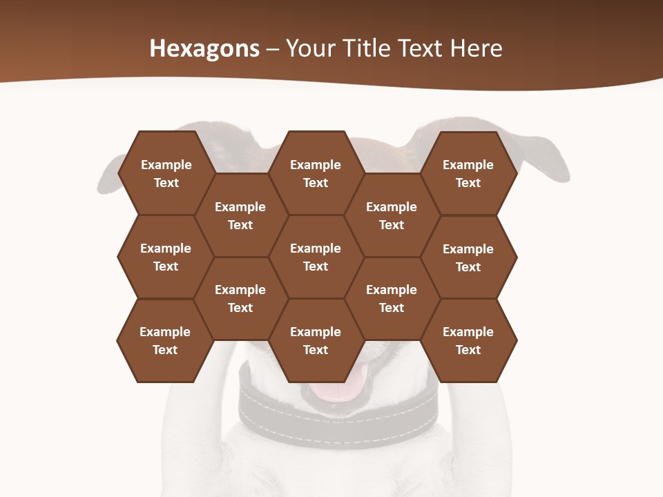 Pet Face Close PowerPoint Template