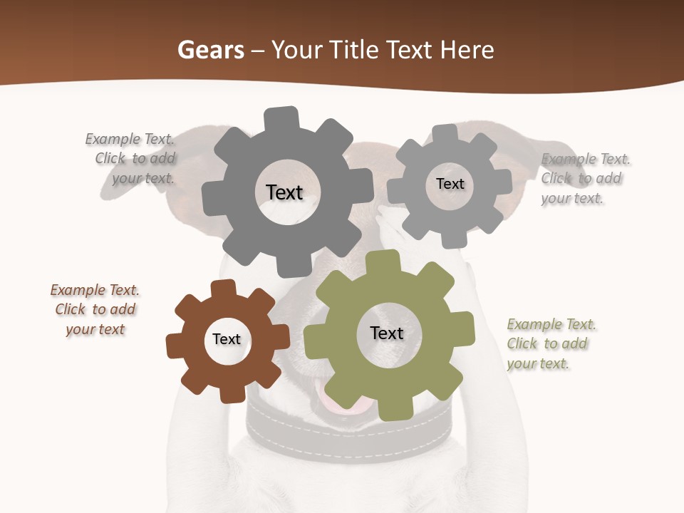 Pet Face Close PowerPoint Template