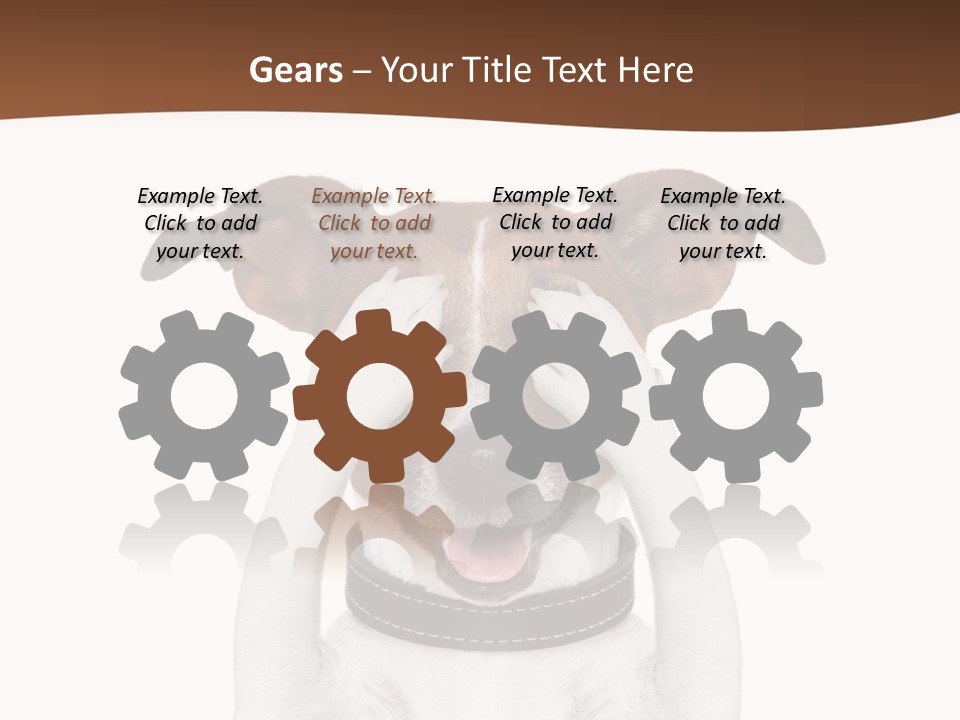 Pet Face Close PowerPoint Template