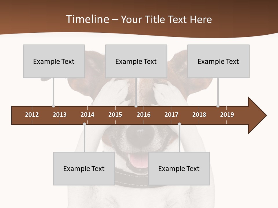 Pet Face Close PowerPoint Template
