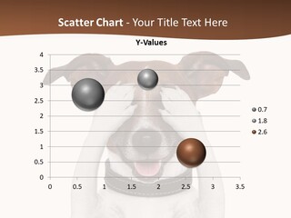 Pet Face Close PowerPoint Template