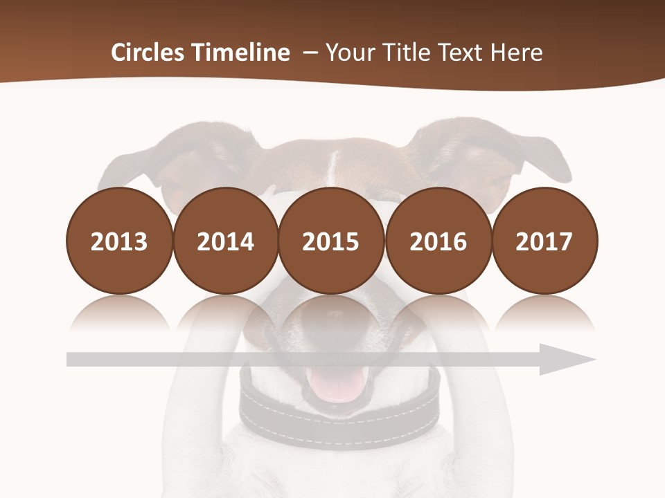 Pet Face Close PowerPoint Template