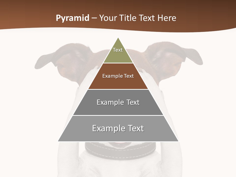 Pet Face Close PowerPoint Template