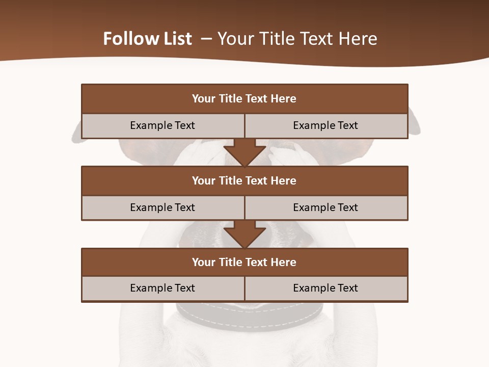 Pet Face Close PowerPoint Template
