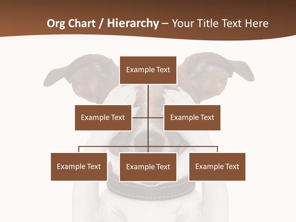 Pet Face Close PowerPoint Template