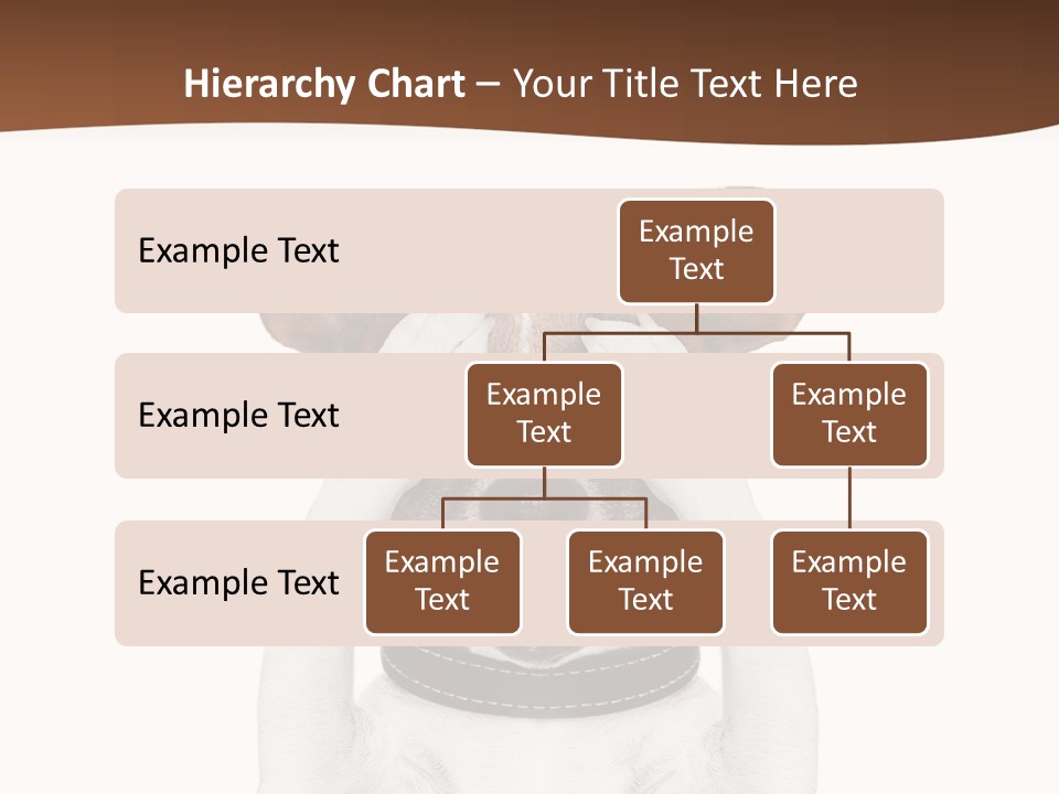 Pet Face Close PowerPoint Template