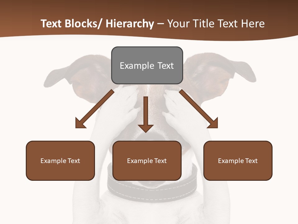 Pet Face Close PowerPoint Template