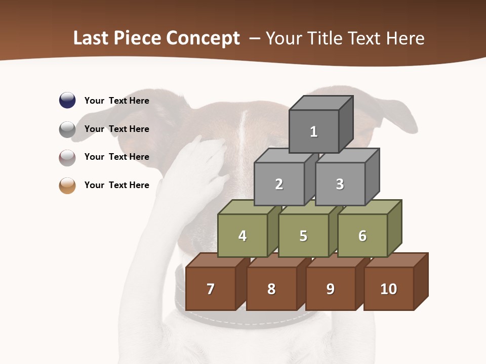 Pet Face Close PowerPoint Template