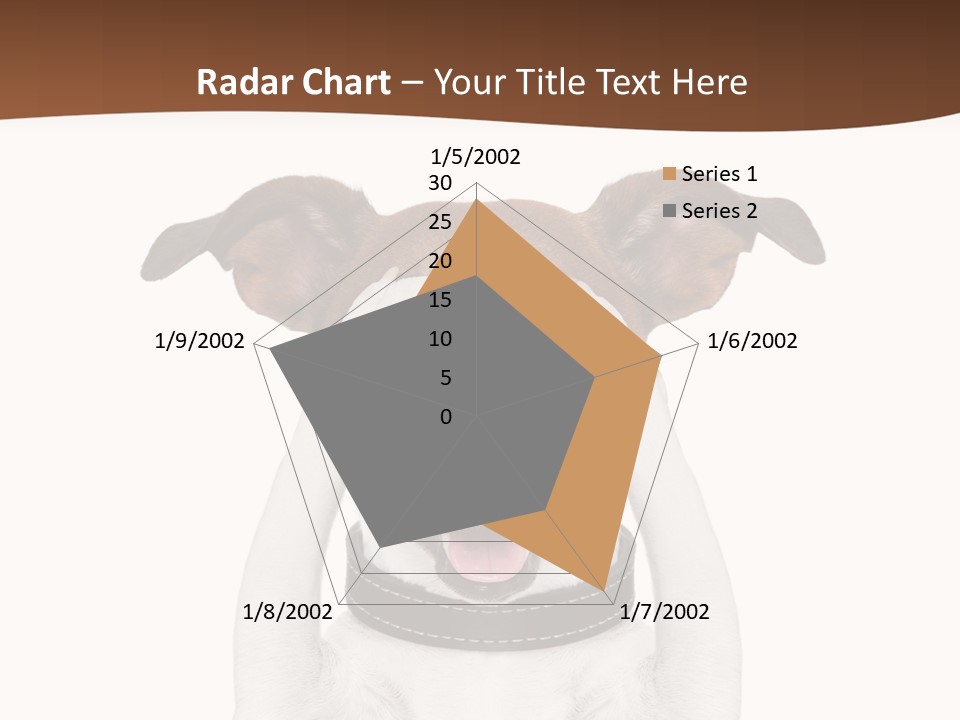 Pet Face Close PowerPoint Template