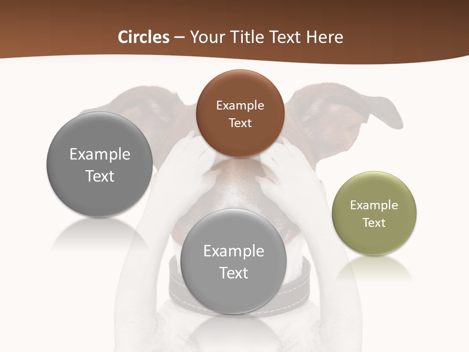 Pet Face Close PowerPoint Template