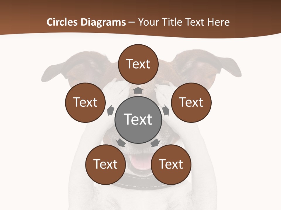 Pet Face Close PowerPoint Template