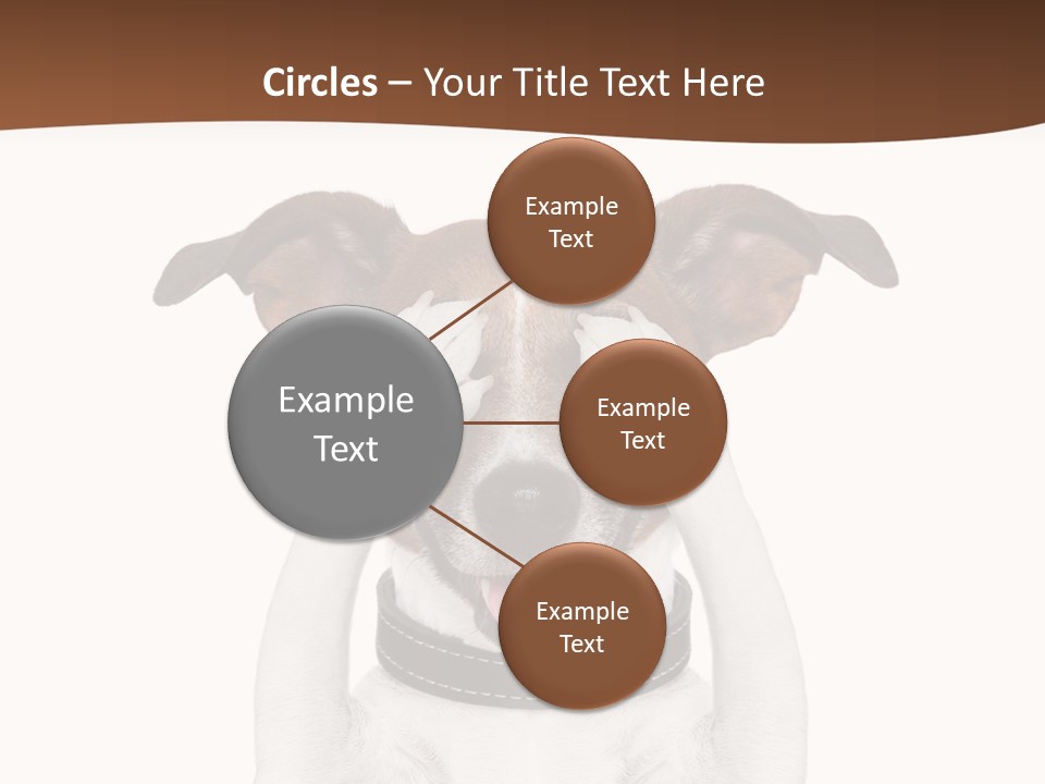 Pet Face Close PowerPoint Template