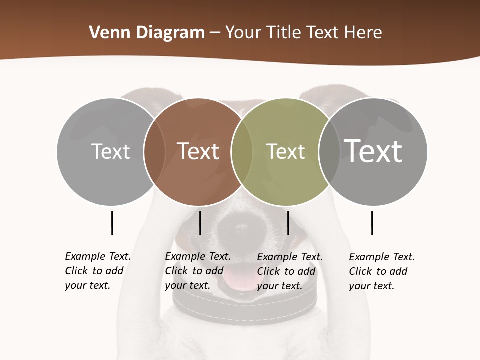 Pet Face Close PowerPoint Template